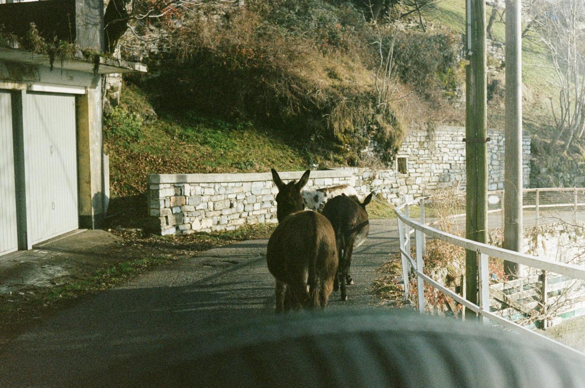 Ca' Bossi Villa Cernobbio Kültér fotó